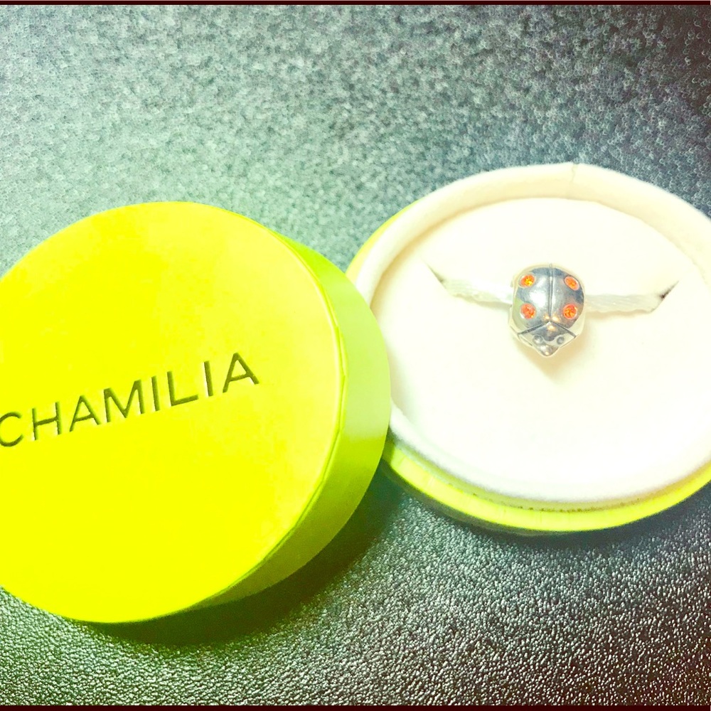 Lady Bug Bead with Orange Swarovski Crystals